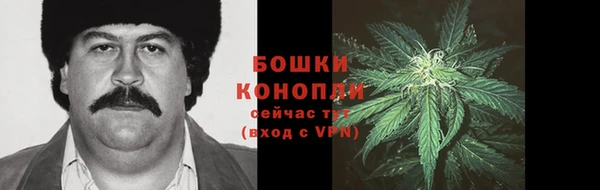 шишки Семилуки